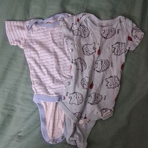 Adorable Hedgehog and Striped Baby Onesies